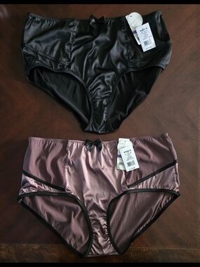 Plus Size 4X Satin High-Waist Briefs NWT